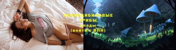 дурь Богородицк