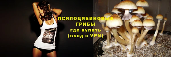 мдма Богданович