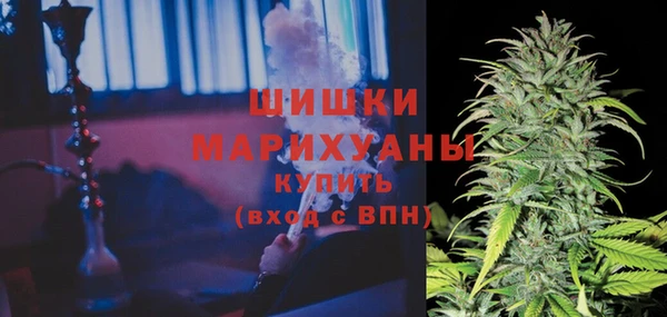 прущий лед Богородск