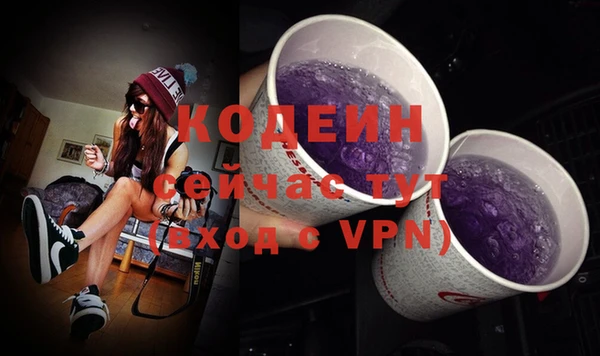 дурь Богородицк